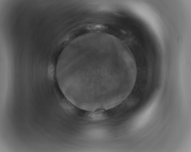 X0000112030767200908171451