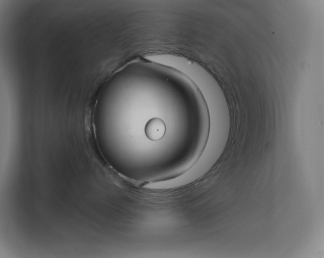X0000112030768200908171451