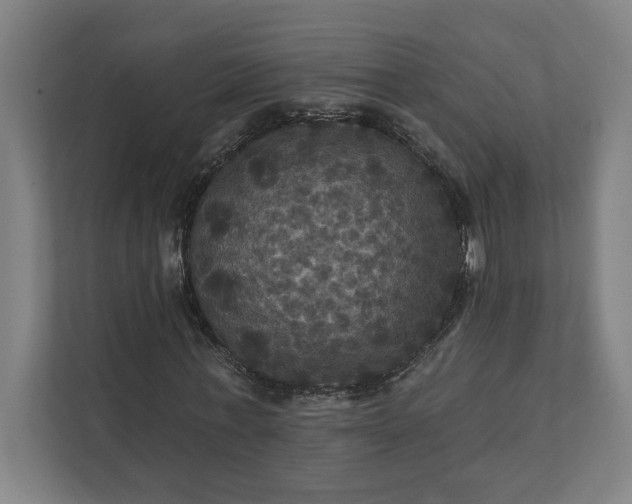 X0000112030771200908171450
