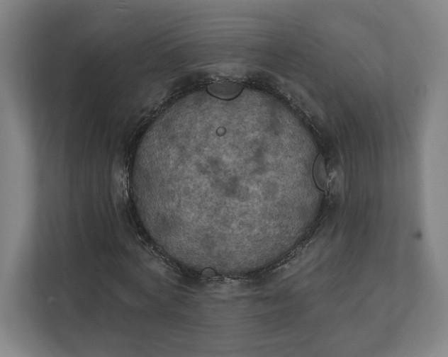 X0000112030772200908171450