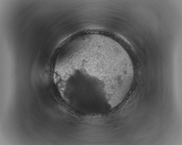 X0000112030775200908171450