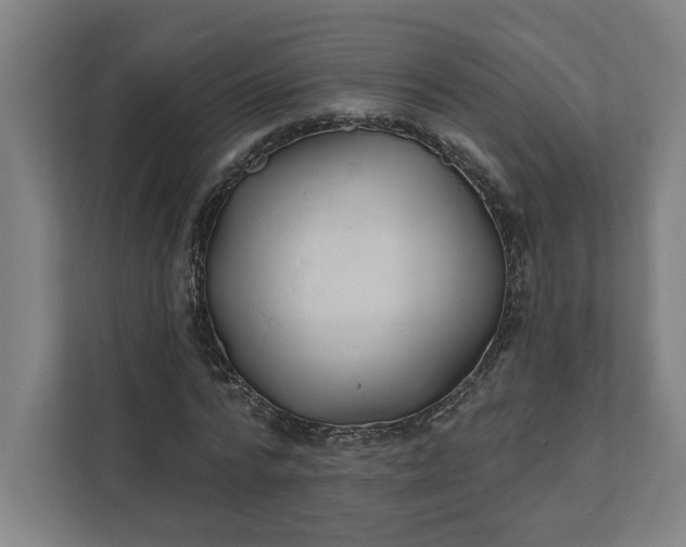 X0000112030776200908171450