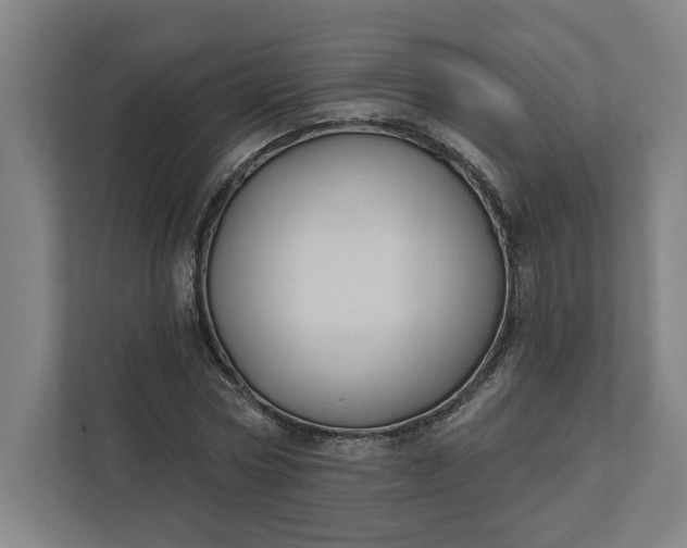 X0000112030778200908171450