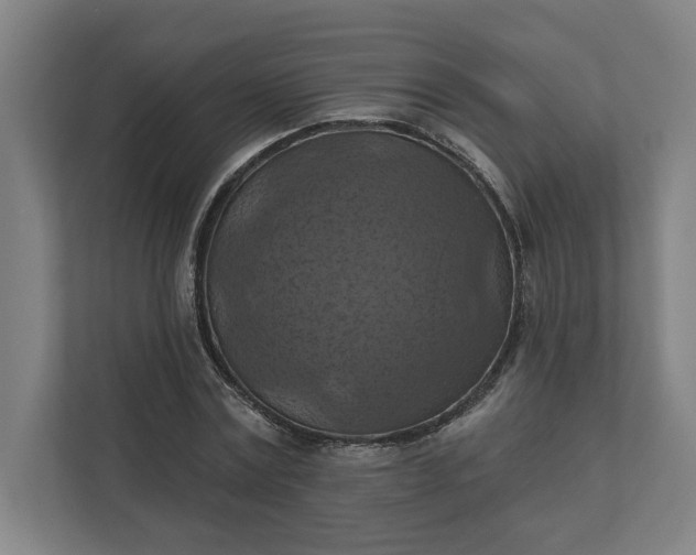 X0000112030779200908171450