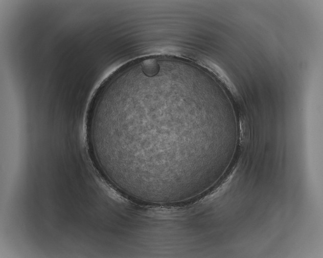 X0000112030780200908171450
