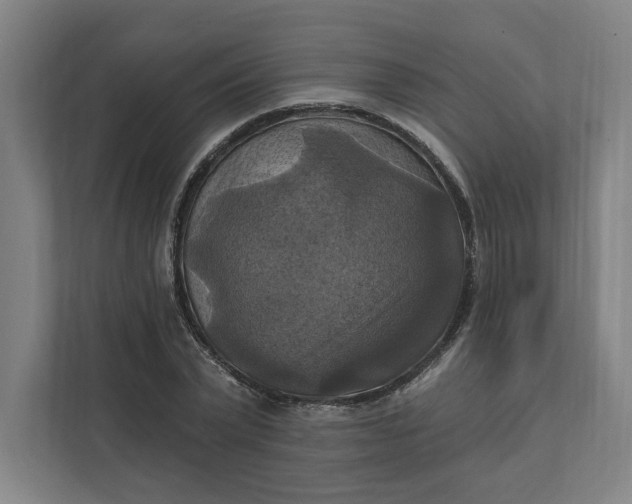 X0000112030783200908171450
