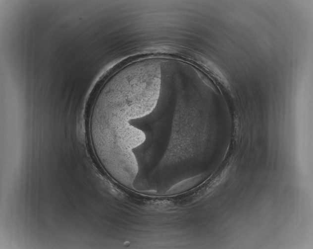 X0000112030784200908171450