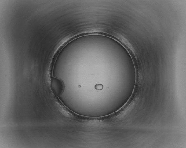 X0000112030789200908171450