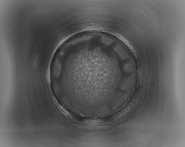 X0000112030791200908171450