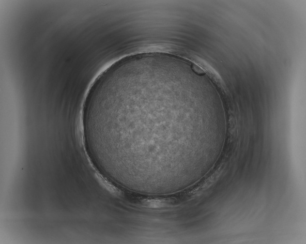 X0000112030792200908171450