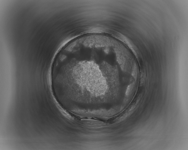 X0000112030795200908171450