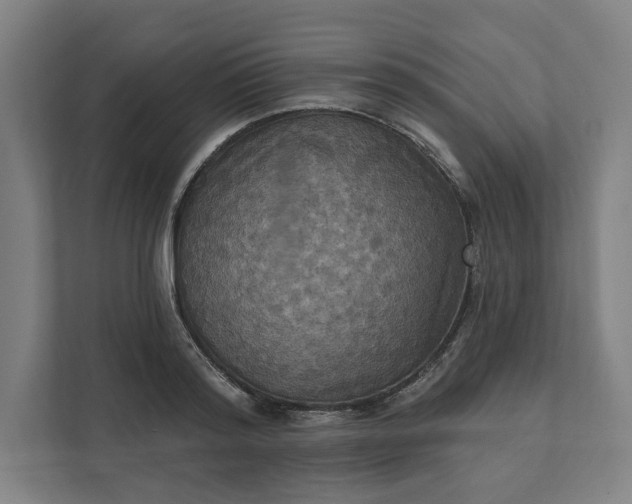 X0000112030796200908171450