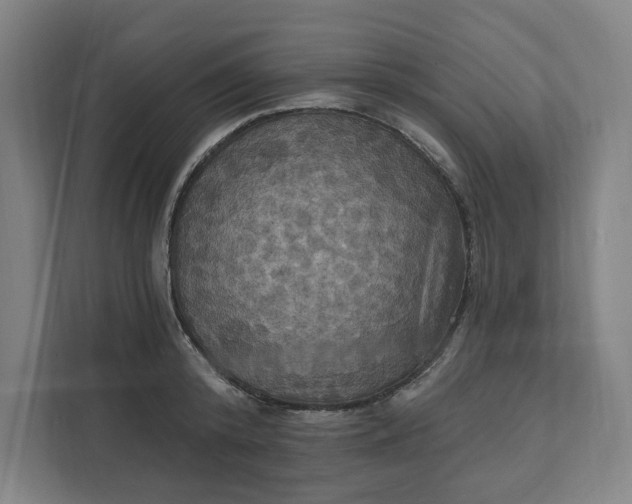 X0000112030800200908171450