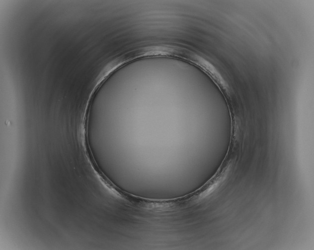 X0000112030802200908171450