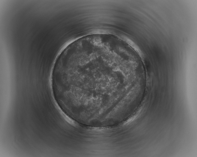 X0000112030803200908171450