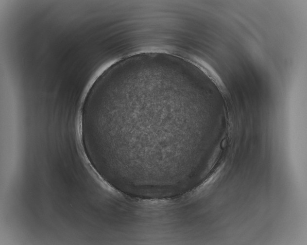 X0000112030804200908171450
