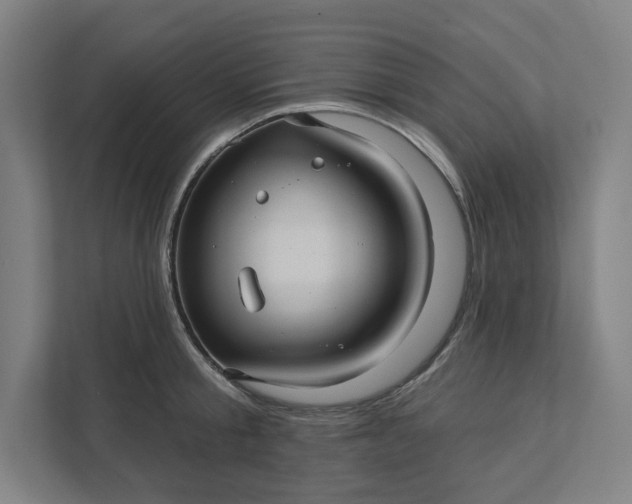 X0000112030805200908171450