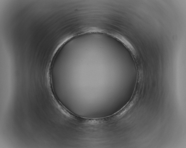 X0000112030806200908171450