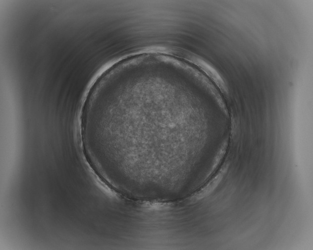 X0000112030808200908171450