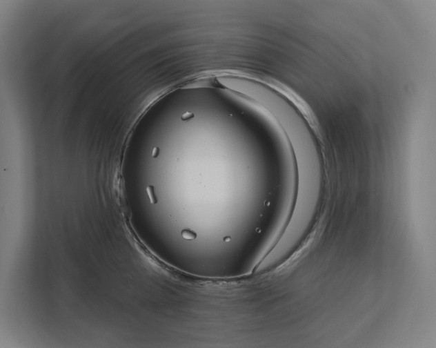 X0000112030809200908171450