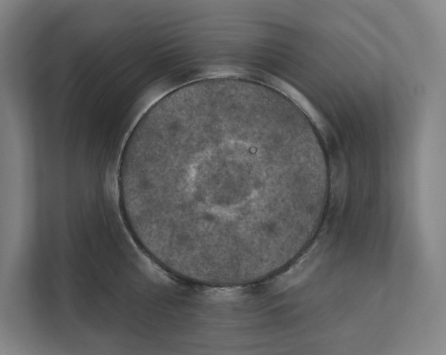 X0000112030810200908171450
