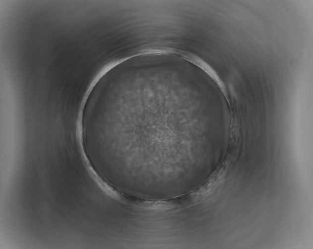 X0000112030811200908171450