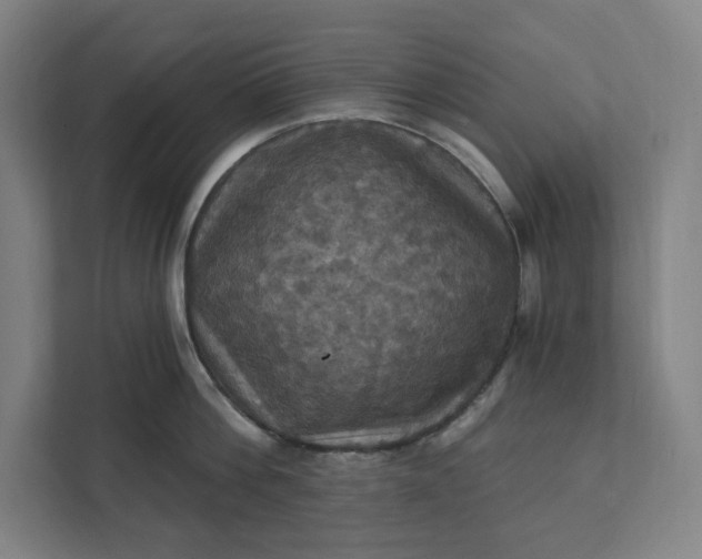 X0000112030812200908171450