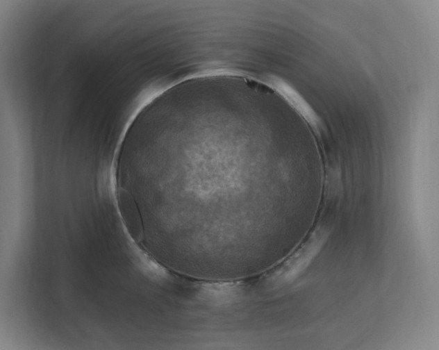 X0000112030813200908171450