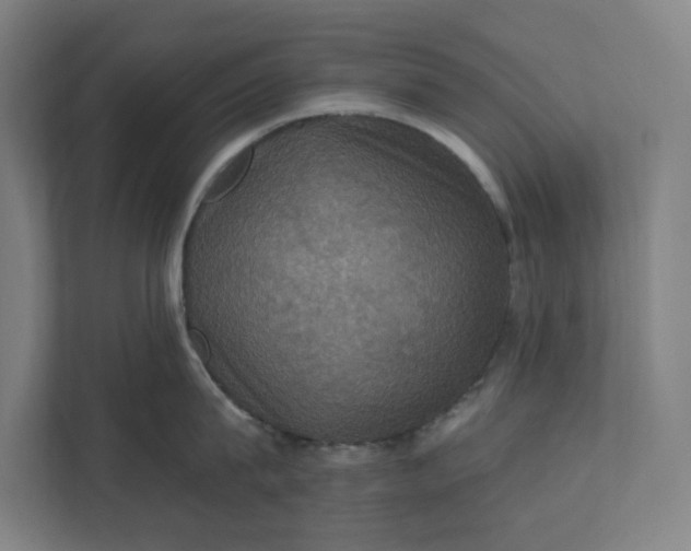 X0000112030815200908171450