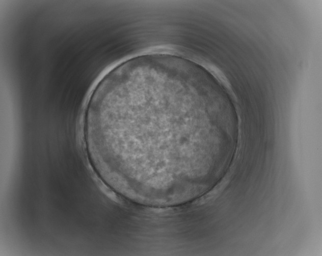 X0000112030816200908171449