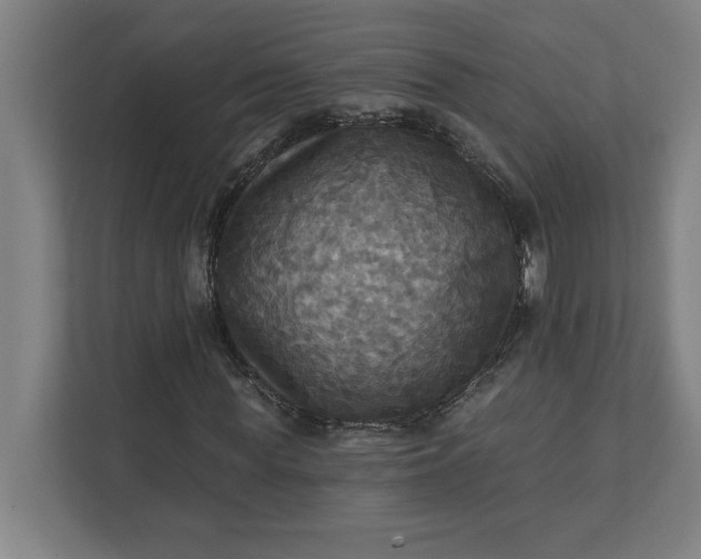 X0000112030819200908171449