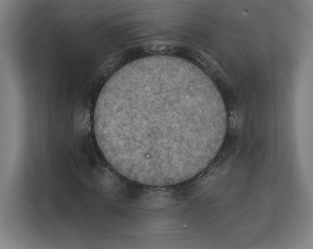 X0000112030820200908171449