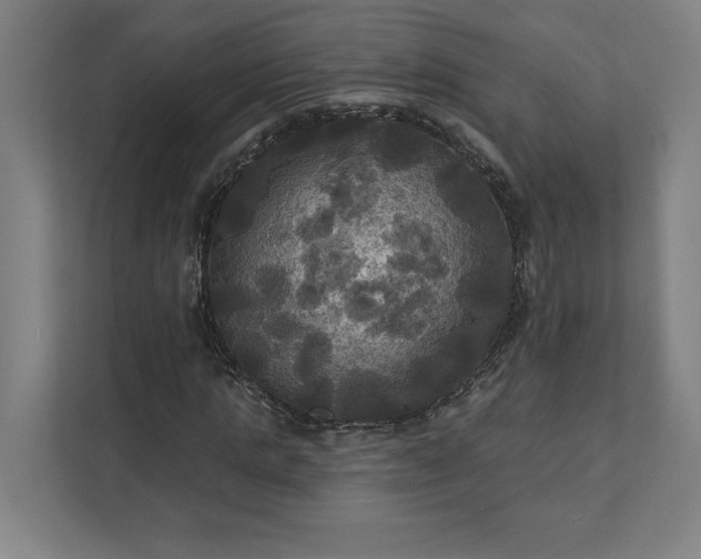 X0000112030821200908171449