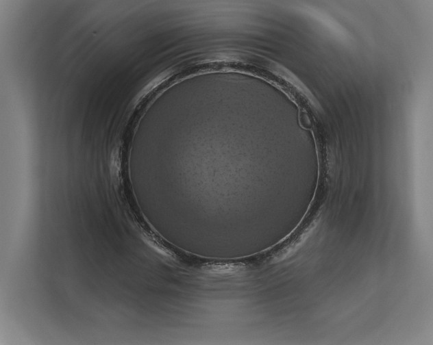 X0000112030826200908171449