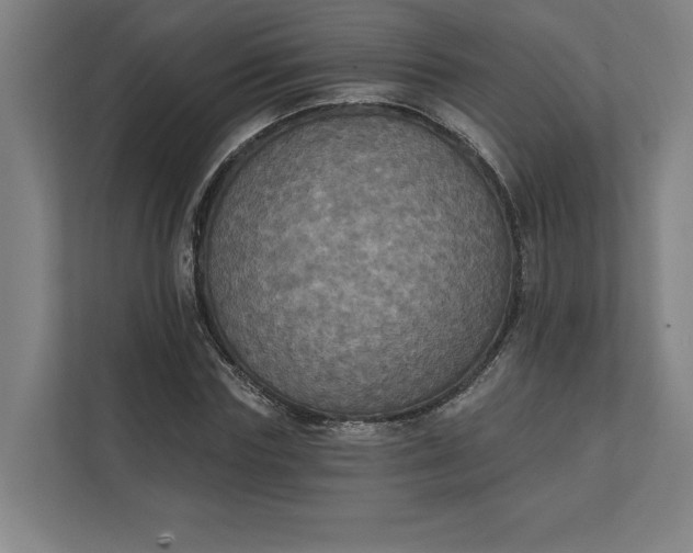 X0000112030827200908171449