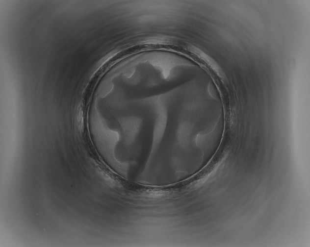 X0000112030829200908171449