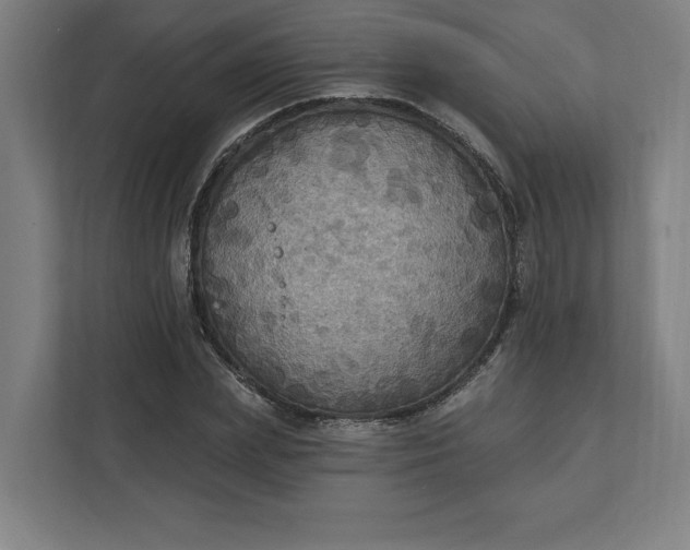 X0000112030831200908171449