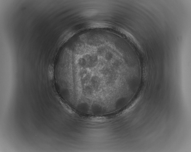 X0000112030833200908171449