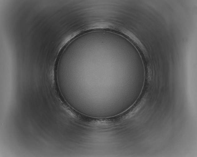 X0000112030834200908171449