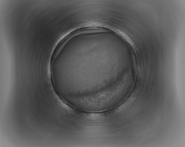 X0000112030839200908171449