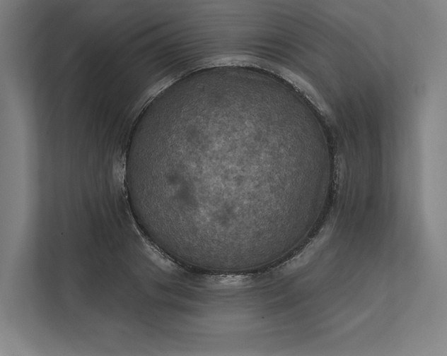 X0000112030841200908171449
