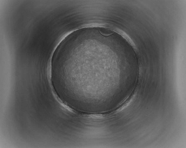 X0000112030844200908171449