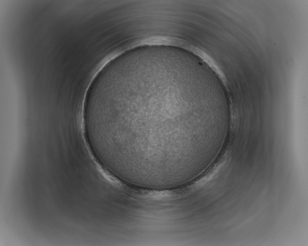 X0000112030845200908171449