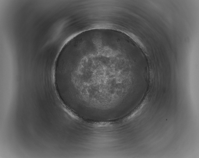 X0000112030846200908171449