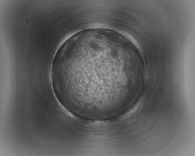X0000112030847200908171449