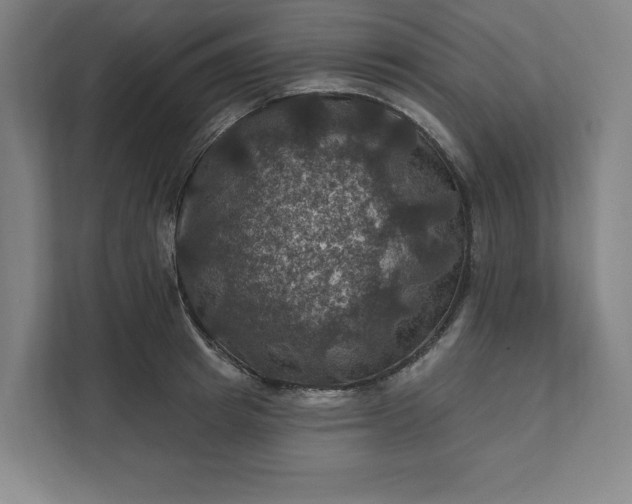 X0000112030849200908171449