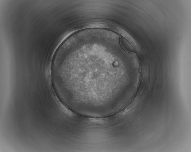 X0000112030852200908171449