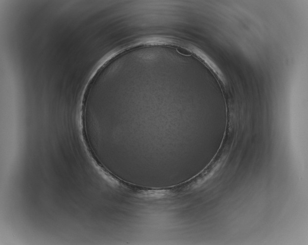 X0000112030853200908171449