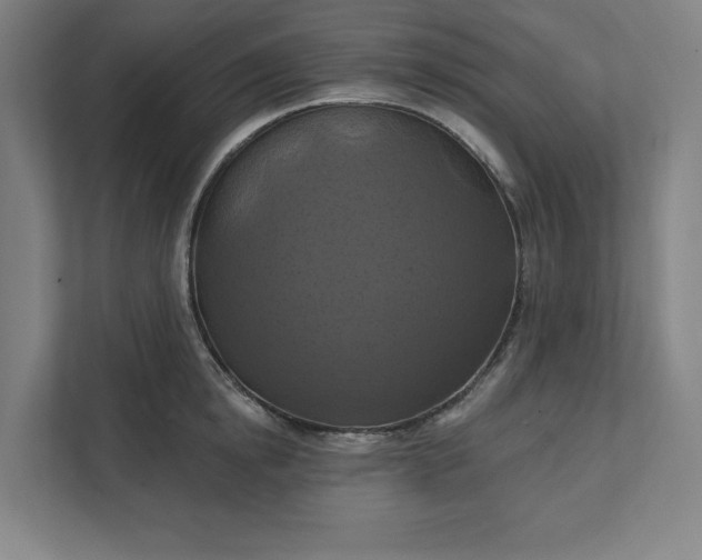 X0000112030854200908171449