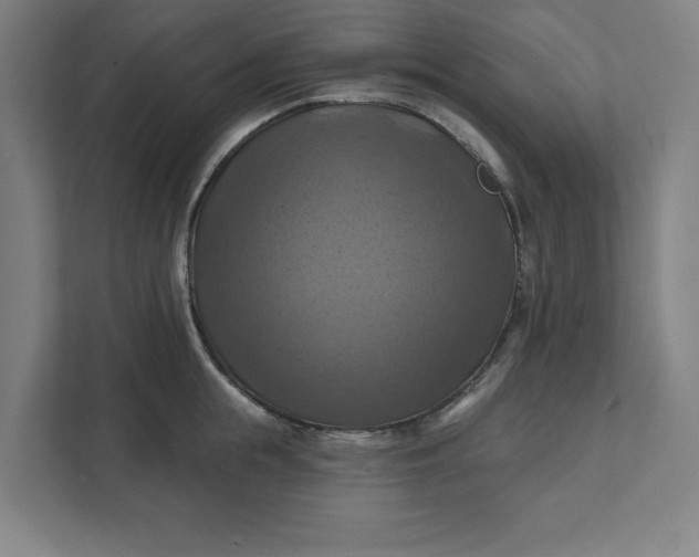 X0000112030855200908171449